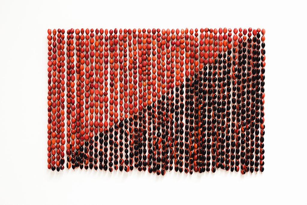 4. Rometti Costales, Le drapeau de l’Anarquismo Mágico, 2013, Aube immédiate, vents tièdes, vue d'exposition, Mécènes du Sud Montpellier-Sète, 2019, image : Elise Ortiou Campion