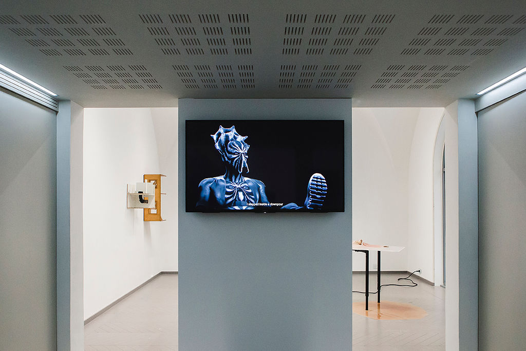  7. Will Benedict, I AM A PROBLEM, 2016, Aube immédiate, vents tièdes, vue d’exposition, Mécènes du Sud Montpellier-Sète, 2019, image: Elise Ortiou Campion