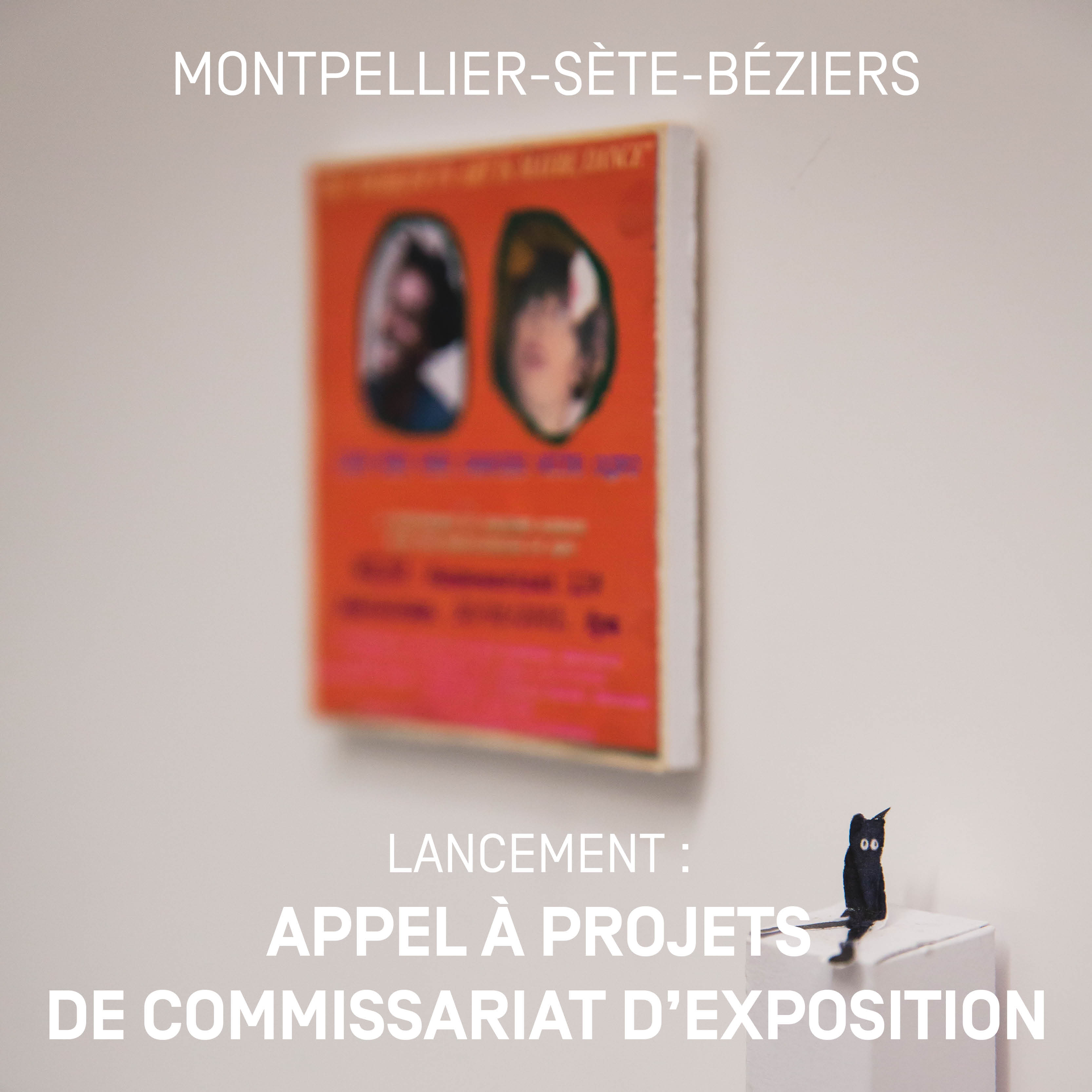 Fabienne Audéoud Elise Ortiou Campion Mécènes du Sud Montpellier-Sète-Béziers appel à projets de commissariat d'exposition